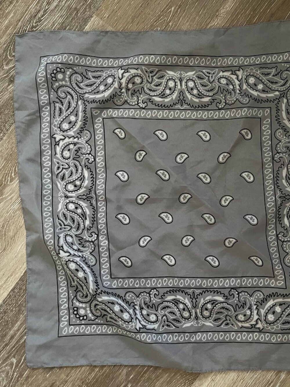 Gray Y2K Paisley Bandana